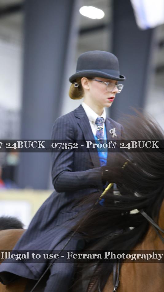 Proof Number 24BUCK_07352
