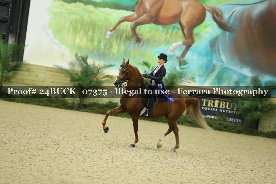 Proof Number 24BUCK_07375