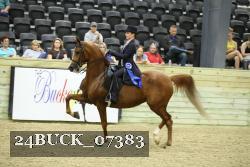 24BUCK_07383 thumbnail