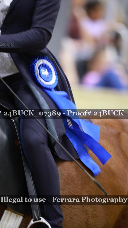 Proof Number 24BUCK_07389