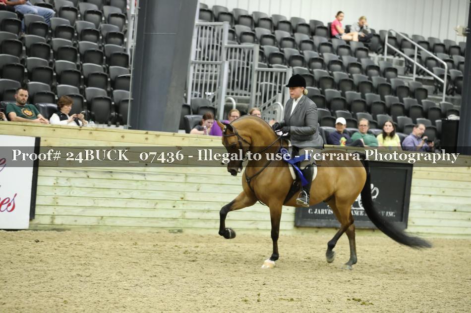 Proof Number 24BUCK_07436