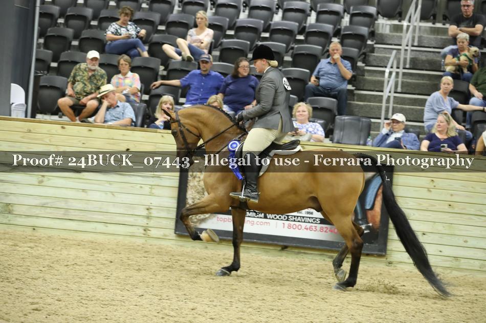 Proof Number 24BUCK_07443