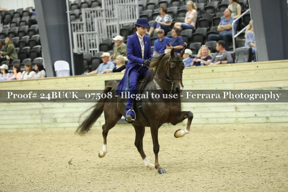 Proof Number 24BUCK_07508