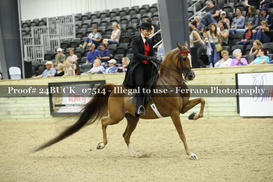 Proof Number 24BUCK_07514