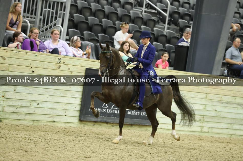 Proof Number 24BUCK_07607