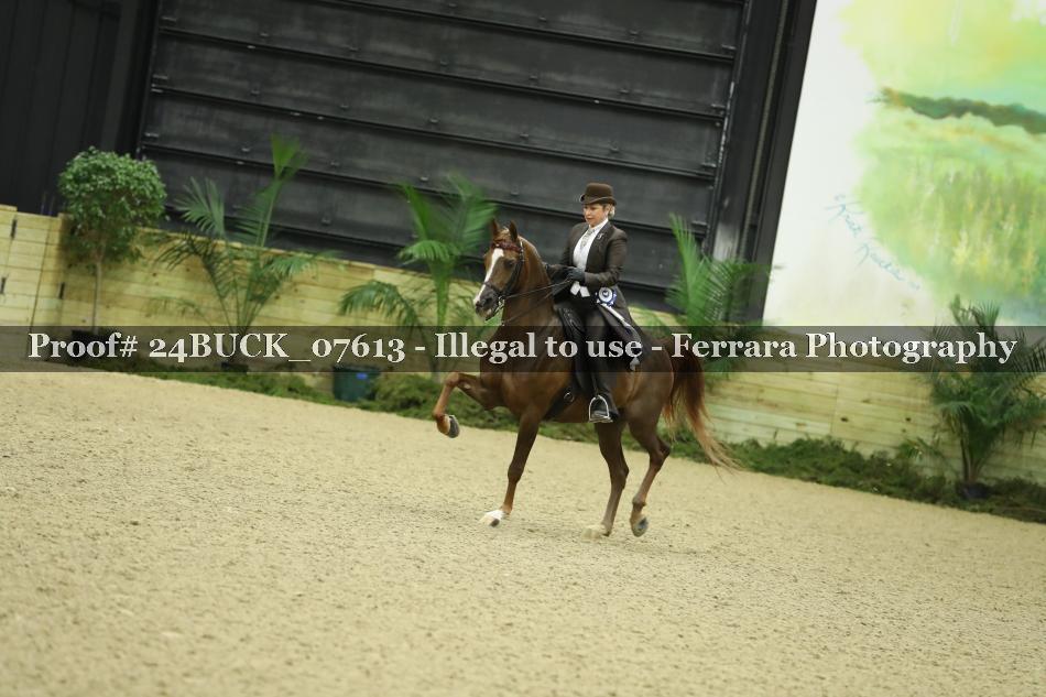 Proof Number 24BUCK_07613