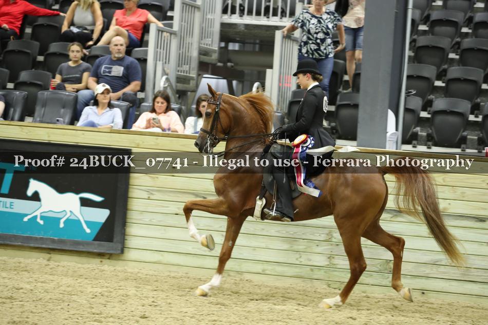 Proof Number 24BUCK_07741