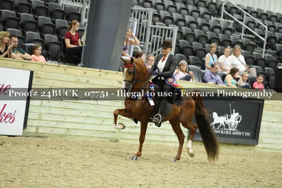 Proof Number 24BUCK_07751