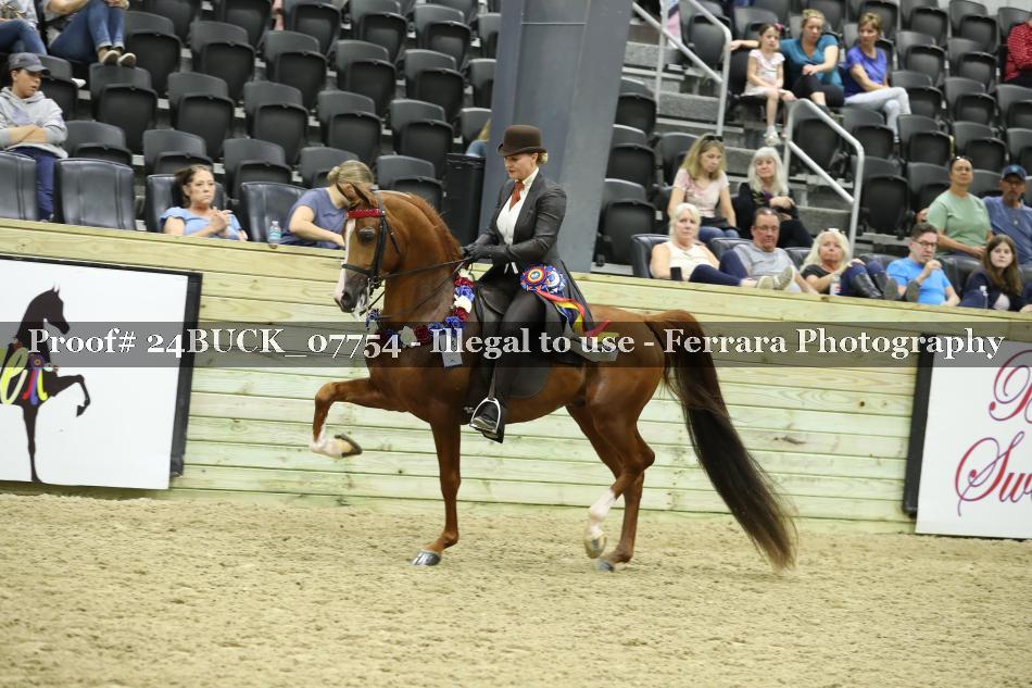 Proof Number 24BUCK_07754