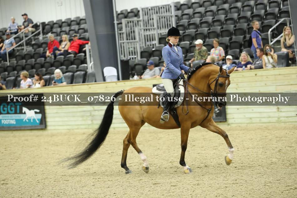 Proof Number 24BUCK_07826