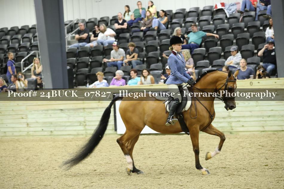 Proof Number 24BUCK_07827
