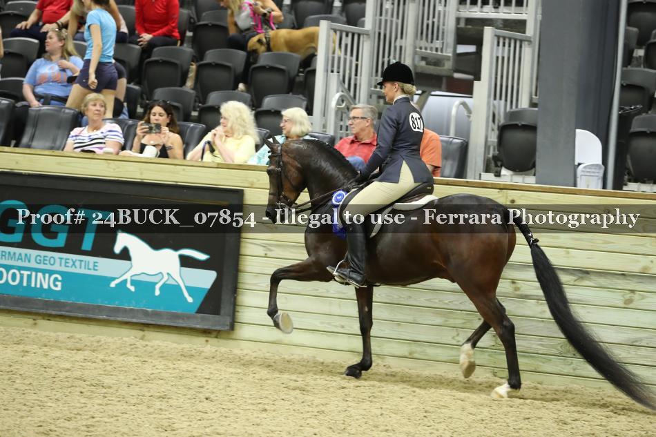 Proof Number 24BUCK_07854