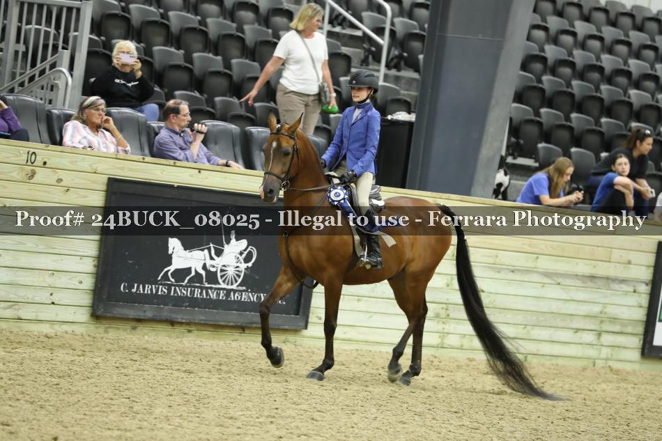 Proof Number 24BUCK_08025