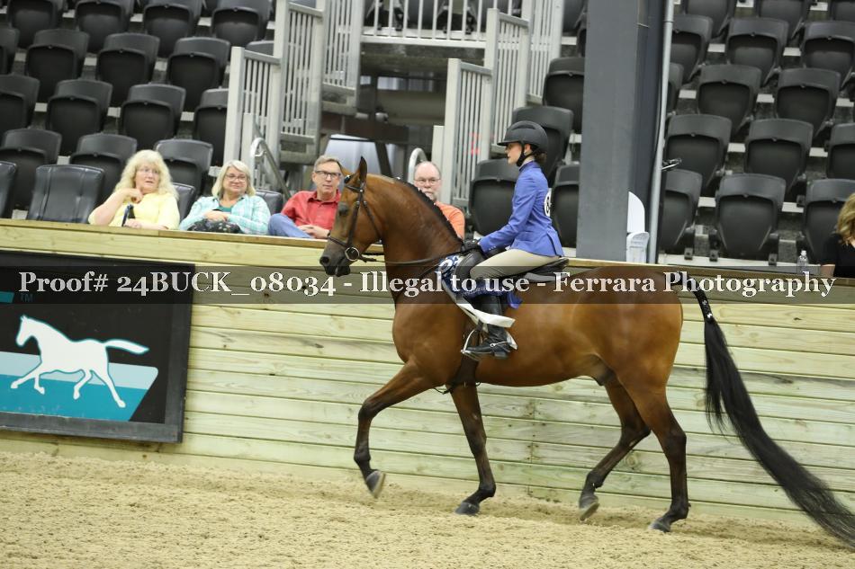Proof Number 24BUCK_08034