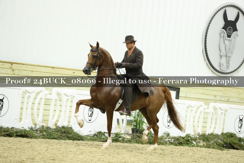 Proof Number 24BUCK_08069