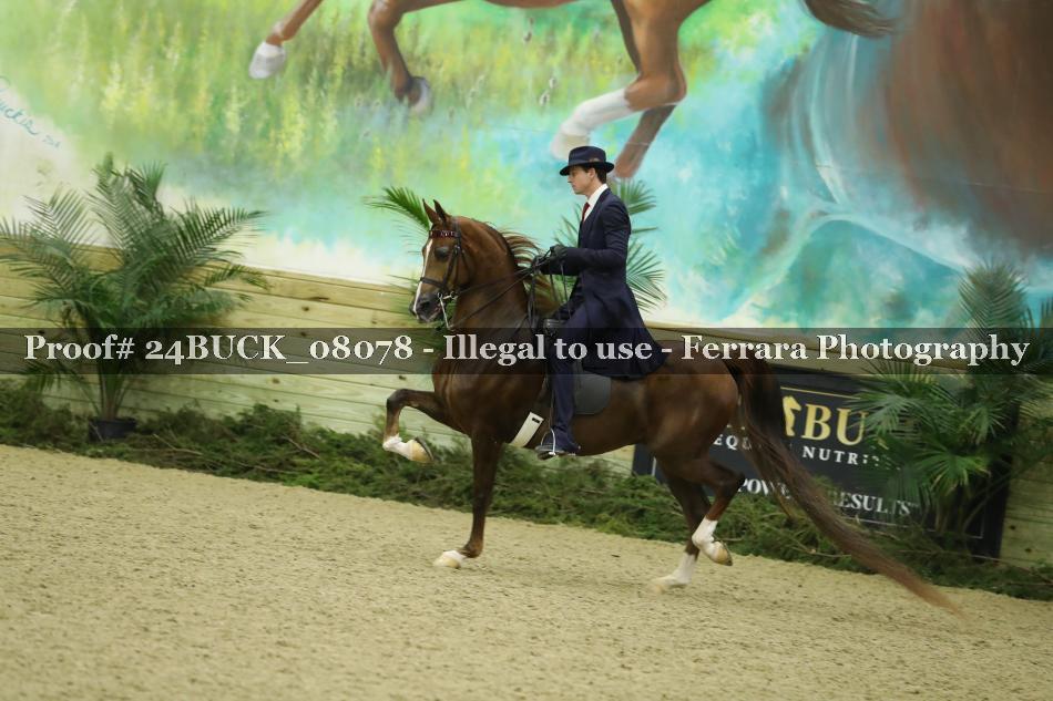 Proof Number 24BUCK_08078