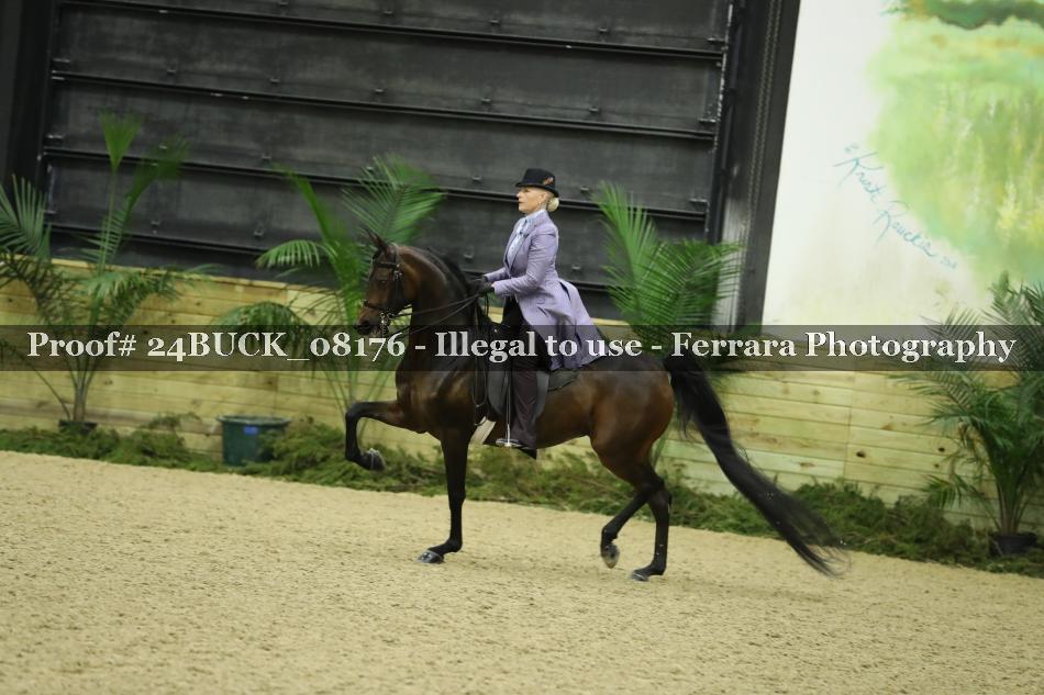 Proof Number 24BUCK_08176