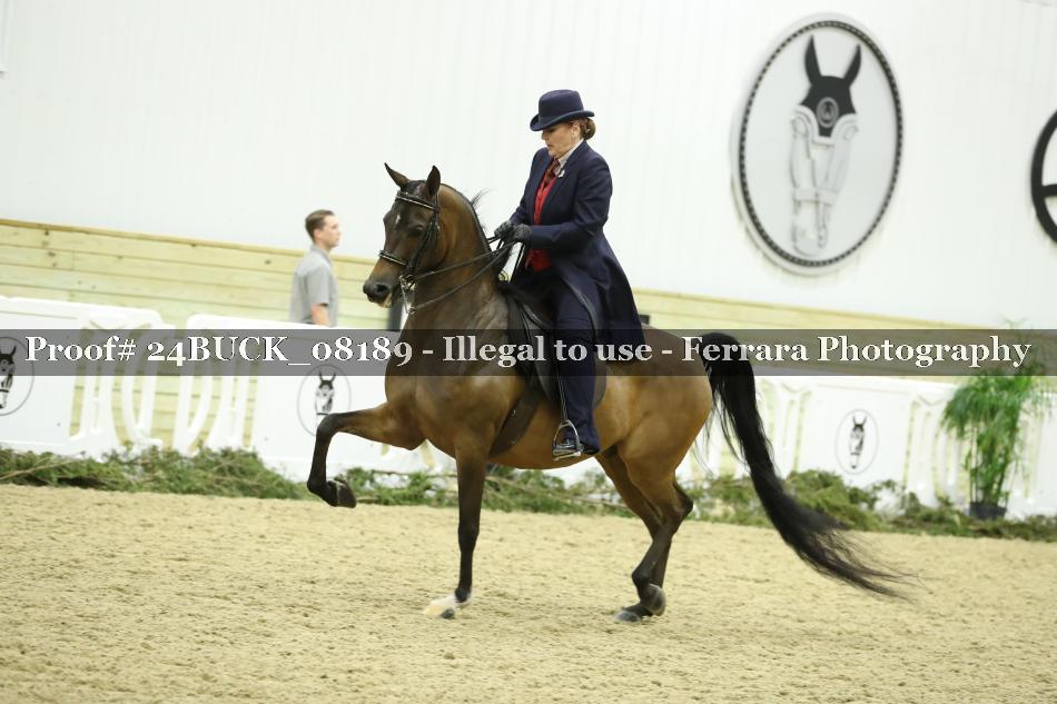 Proof Number 24BUCK_08189