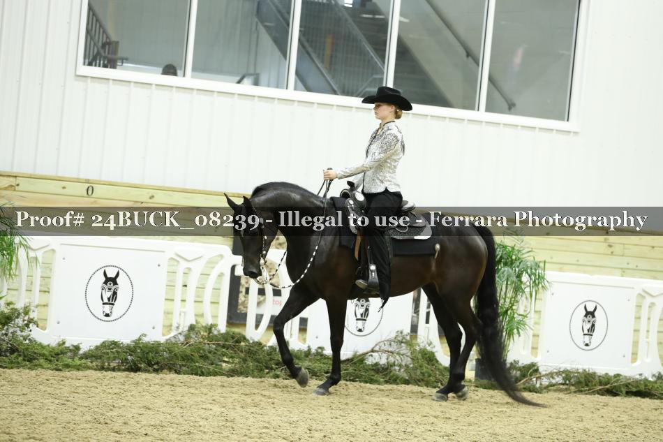Proof Number 24BUCK_08239