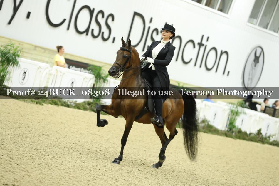 Proof Number 24BUCK_08308