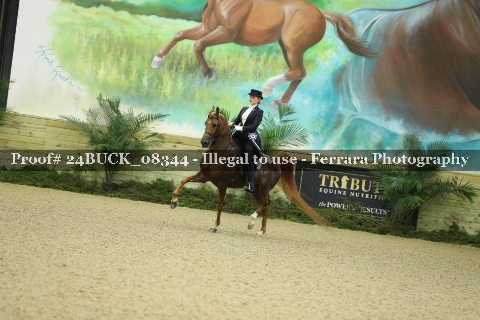 Proof Number 24BUCK_08344