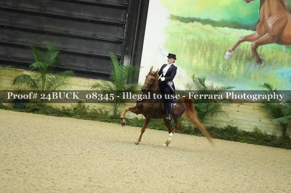 Proof Number 24BUCK_08345