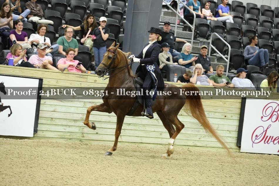 Proof Number 24BUCK_08351