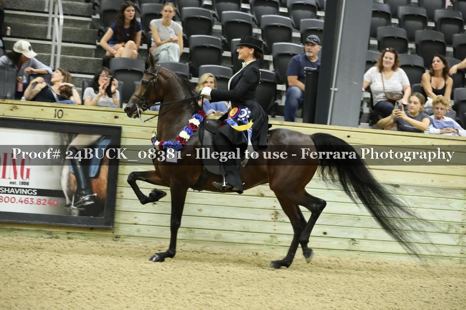 Proof Number 24BUCK_08381