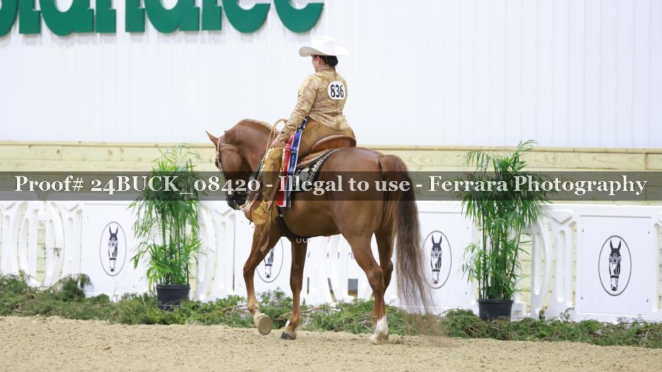 Proof Number 24BUCK_08420