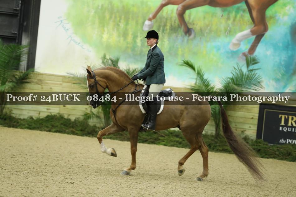 Proof Number 24BUCK_08484