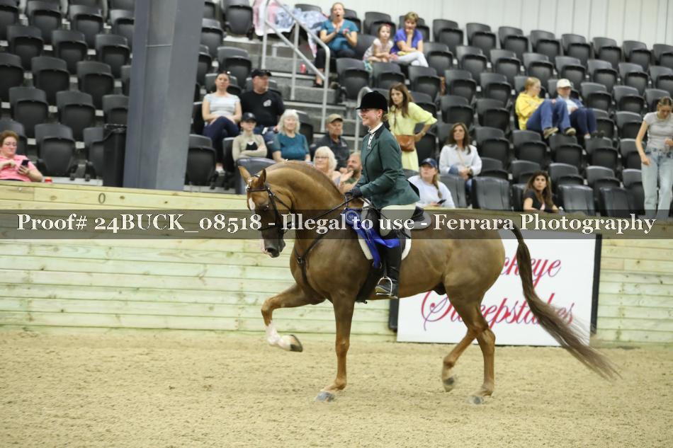 Proof Number 24BUCK_08518