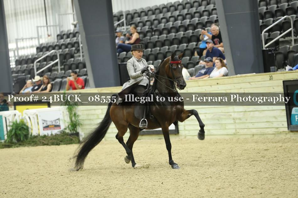 Proof Number 24BUCK_08555