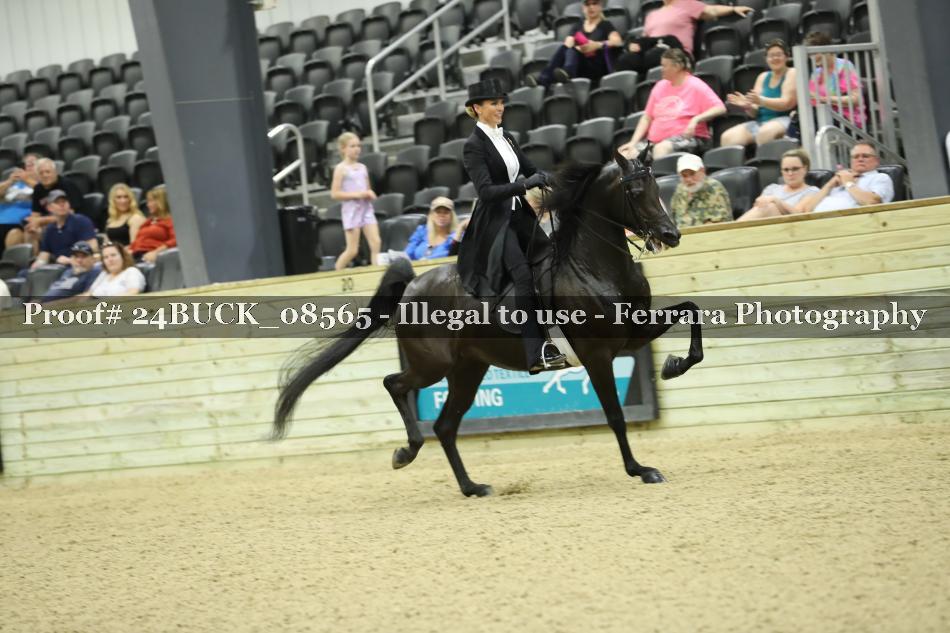 Proof Number 24BUCK_08565