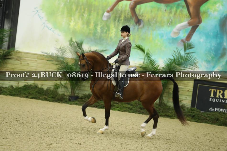 Proof Number 24BUCK_08619
