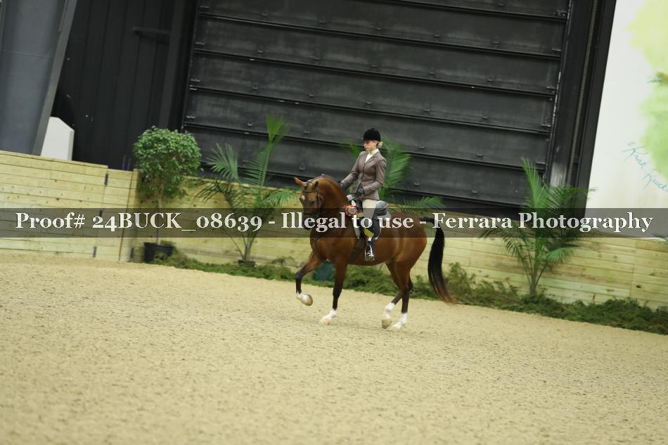 Proof Number 24BUCK_08639