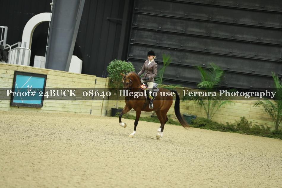Proof Number 24BUCK_08640
