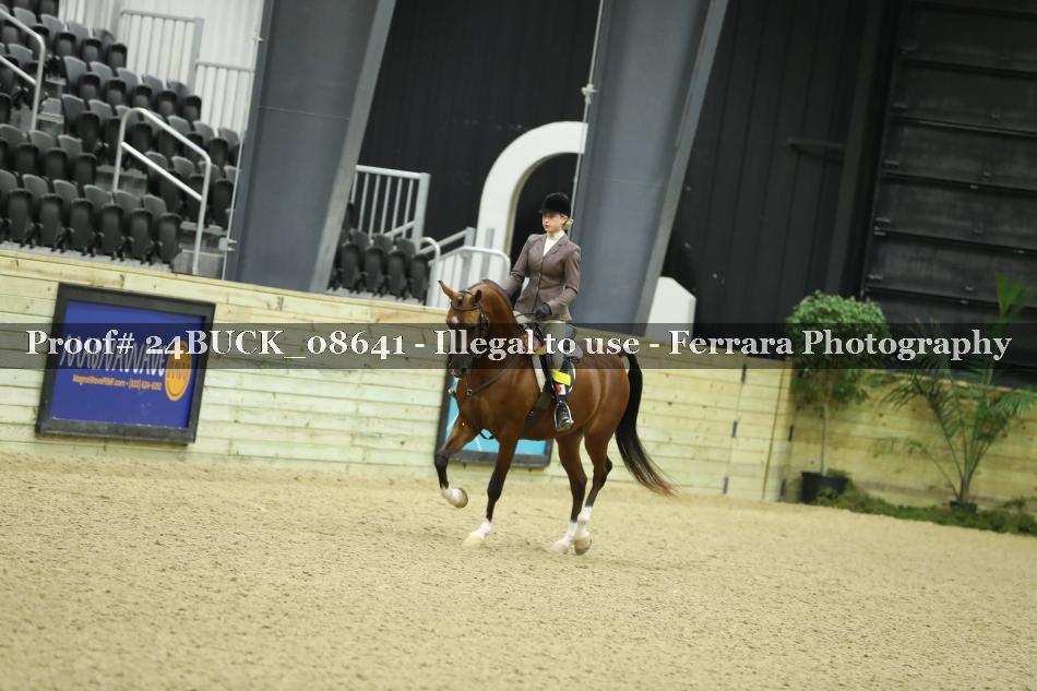 Proof Number 24BUCK_08641