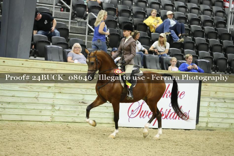 Proof Number 24BUCK_08646
