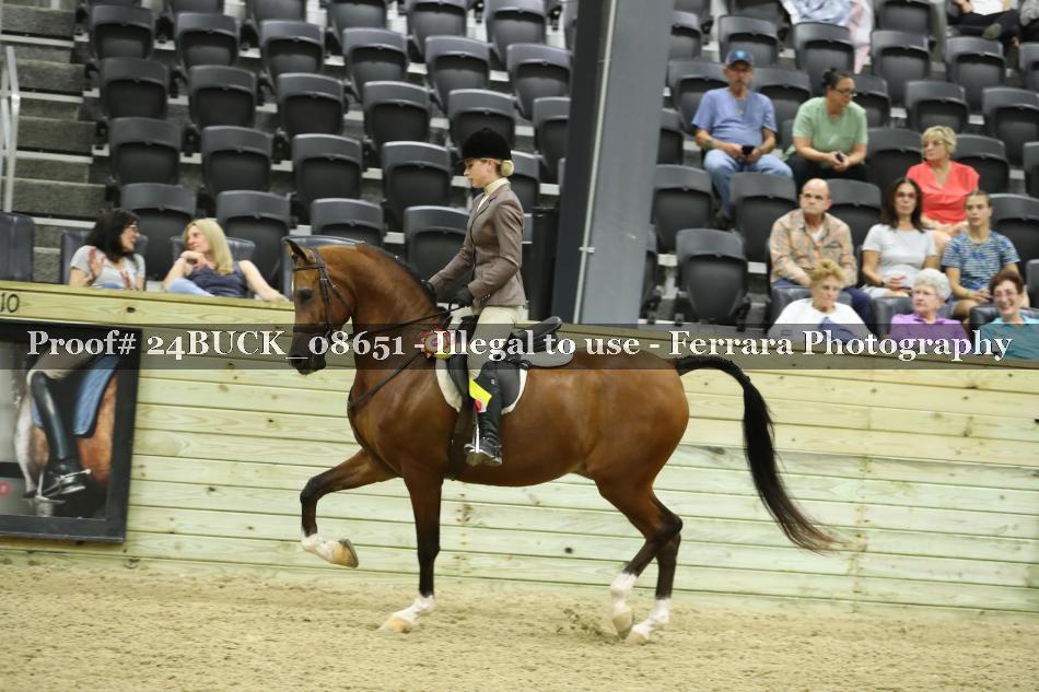Proof Number 24BUCK_08651