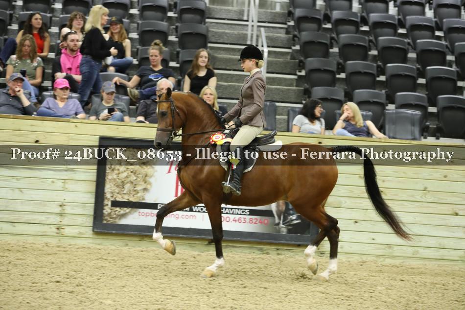 Proof Number 24BUCK_08653