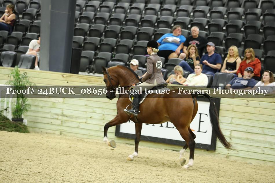 Proof Number 24BUCK_08656