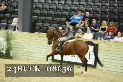 24BUCK_08656 thumbnail