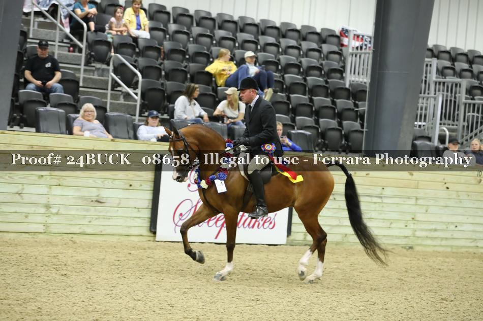 Proof Number 24BUCK_08658