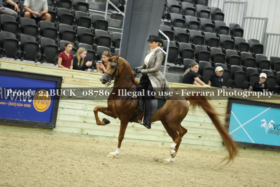 Proof Number 24BUCK_08786