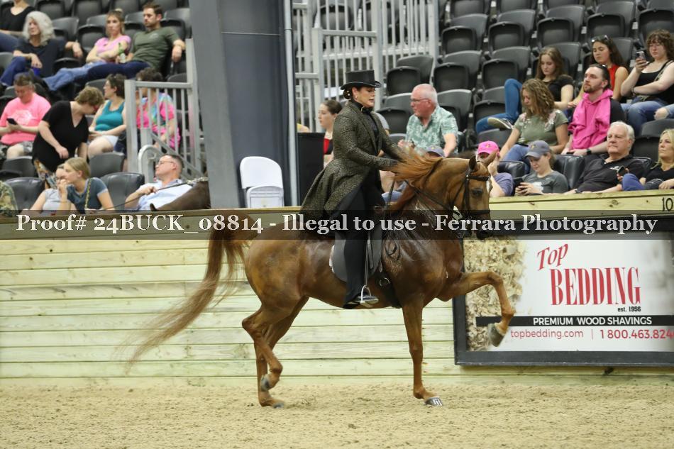 Proof Number 24BUCK_08814
