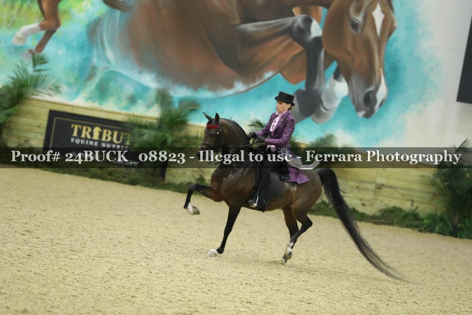 Proof Number 24BUCK_08823