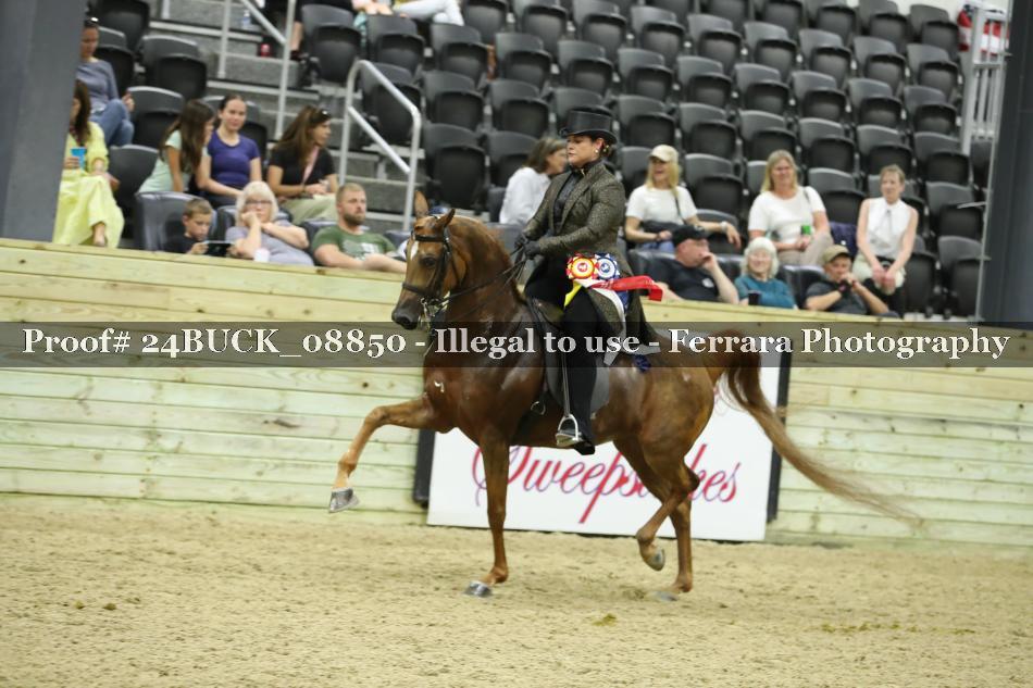 Proof Number 24BUCK_08850