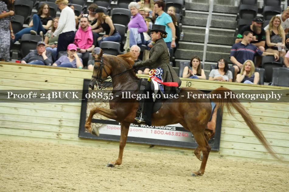 Proof Number 24BUCK_08855