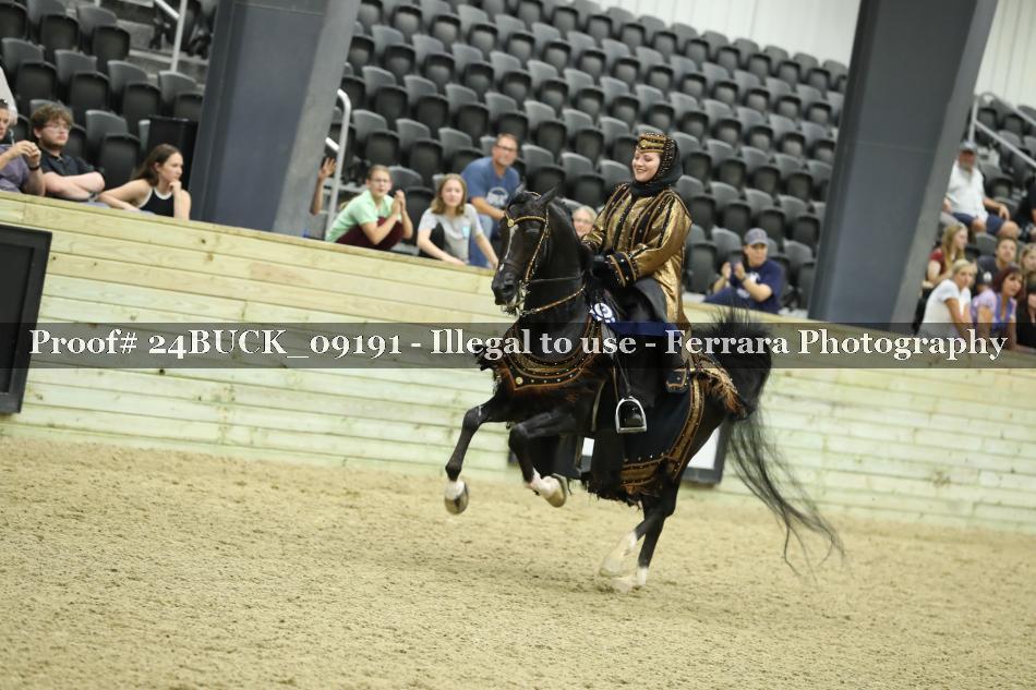 Proof Number 24BUCK_09191
