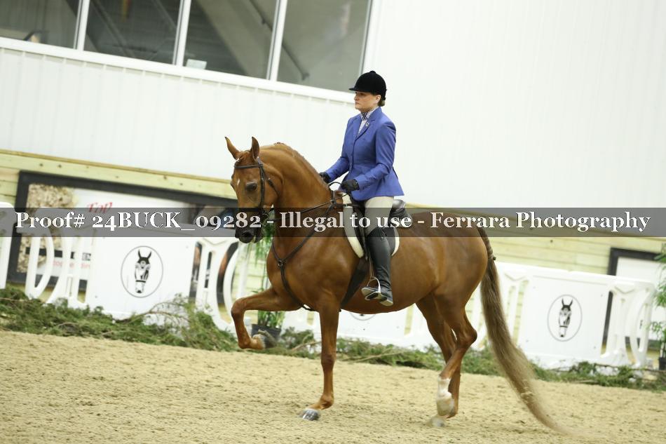 Proof Number 24BUCK_09282